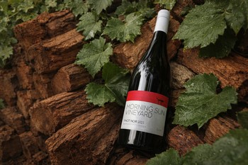 Morning Sun Pinot Noir 2025