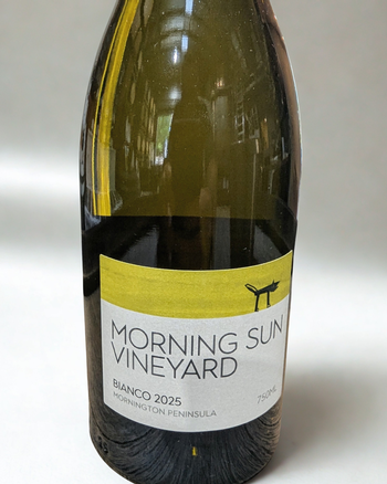 Morning Sun Bianco 2025